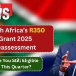 South Africa’s R350 Grant 2025